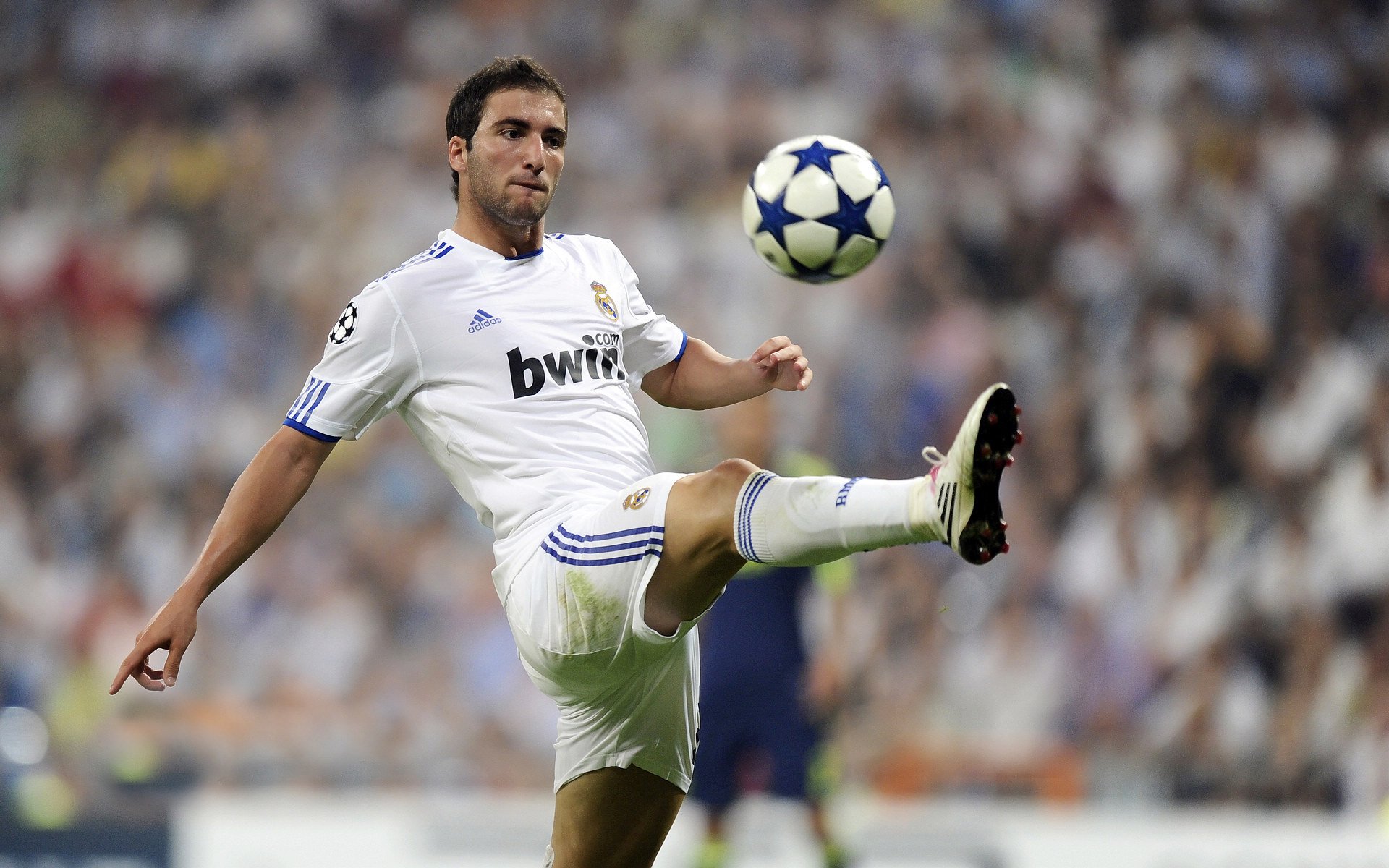 字母哥进攻端无人可挡，勇士队国际友谊赛力克广东队